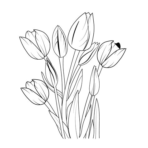 tulip outline|Tulip Outline Vector Art, Icons, and Graphics for Free。